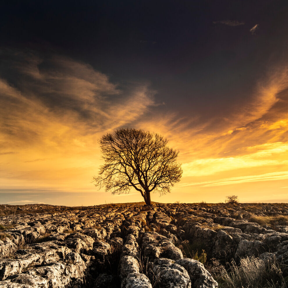 Twistleton,Scar,,Yorkshire,Dales,Uk